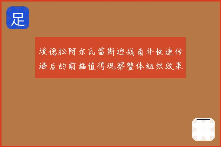 埃德松阿尔瓦雷斯迎战南非快速传递后的前插值得观察整体组织效果